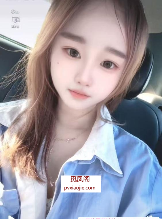 双飞两骚妇
