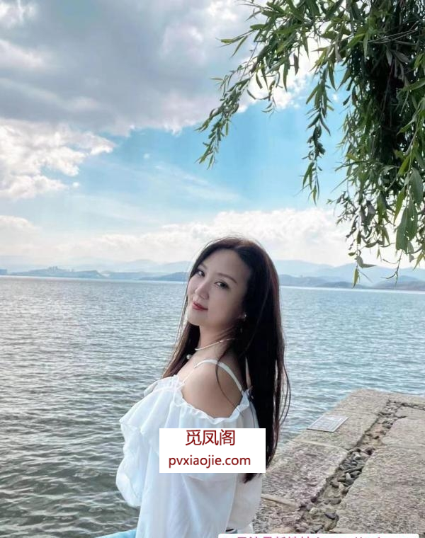 铁西妲己