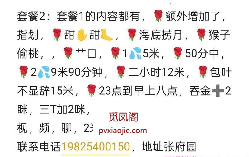 南京楼凤肖后